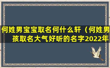 何姓男宝宝取名何什么轩（何姓男孩取名大气好听的名字2022年）