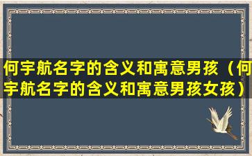 何宇航名字的含义和寓意男孩（何宇航名字的含义和寓意男孩女孩）