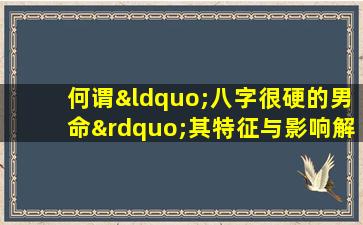 何谓“八字很硬的男命”其特征与影响解析