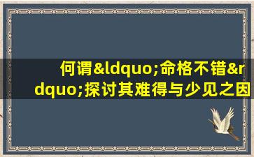 何谓“命格不错”探讨其难得与少见之因