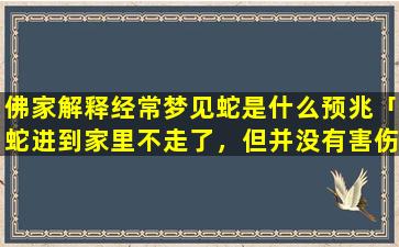 佛家解释经常梦见蛇是什么预兆「蛇进到家里不走了，但并没有害伤我们，这是怎么回事」