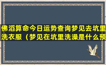 佛滔算命今日运势查询梦见去坑里洗衣服（梦见在坑里洗澡是什么预兆）