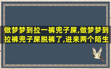 做梦梦到拉一裤兜子屎,做梦梦到拉裤兜子屎脱裤了,进来两个陌生老头