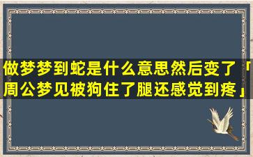 做梦梦到蛇是什么意思然后变了「周公梦见被狗住了腿还感觉到疼」