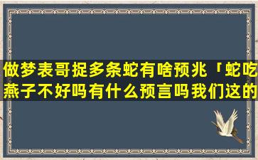 做梦表哥捉多条蛇有啥预兆「蛇吃燕子不好吗有什么预言吗我们这的人说不好」