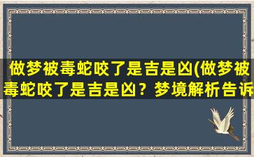 做梦被毒蛇咬了是吉是凶(做梦被毒蛇咬了是吉是凶？梦境解析告诉你)