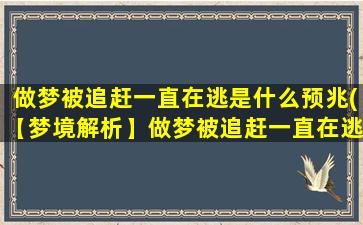 做梦被追赶一直在逃是什么预兆(【梦境解析】做梦被追赶一直在逃，这可能预示着什么？)