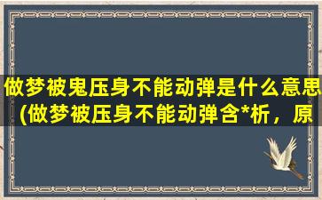 做梦被鬼压身不能动弹是什么意思(做梦被压身不能动弹含*析，原因与应对方法)