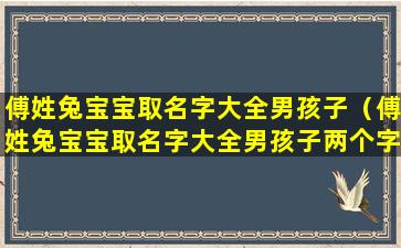 傅姓兔宝宝取名字大全男孩子（傅姓兔宝宝取名字大全男孩子两个字）