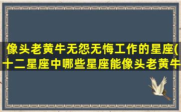 像头老黄牛无怨无悔工作的星座(十二星座中哪些星座能像头老黄牛一样不辞辛劳、不抱怨不放弃？)