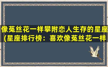 像菟丝花一样攀附恋人生存的星座(星座排行榜：喜欢像菟丝花一样攀附恋人生存的TOP5)