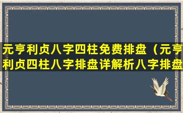 元亨利贞八字四柱免费排盘（元亨利贞四柱八字排盘详解析八字排盘）