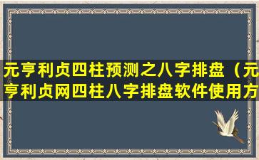 元亨利贞四柱预测之八字排盘（元亨利贞网四柱八字排盘软件使用方法）