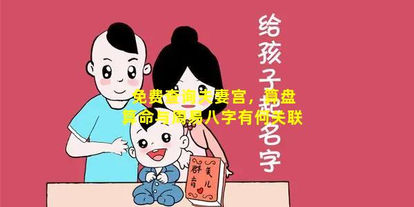 免费查询夫妻宫，算盘算命与周易八字有何关联