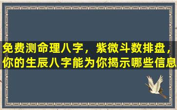 免费测命理八字，紫微斗数排盘，你的生辰八字能为你揭示哪些信息