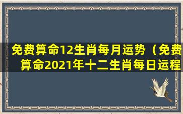 免费算命12生肖每月运势（免费算命2021年十二生肖每日运程）