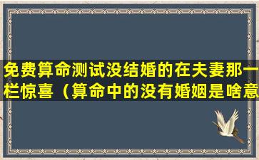 免费算命测试没结婚的在夫妻那一栏惊喜（算命中的没有婚姻是啥意思）