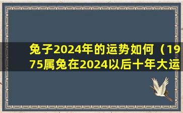 兔子2024年的运势如何（1975属兔在2024以后十年大运）