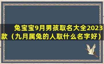 兔宝宝9月男孩取名大全2023款（九月属兔的人取什么名字好）