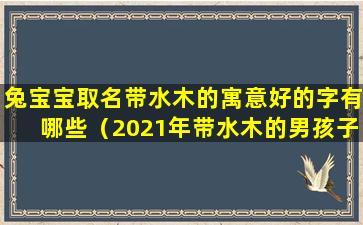 兔宝宝取名带水木的寓意好的字有哪些（2021年带水木的男孩子名字）