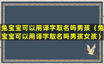 兔宝宝可以用译字取名吗男孩（兔宝宝可以用译字取名吗男孩女孩）