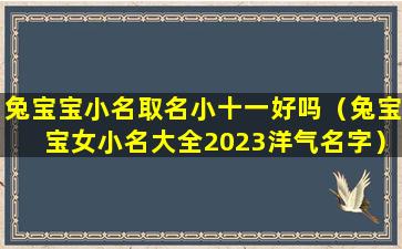 兔宝宝小名取名小十一好吗（兔宝宝女小名大全2023洋气名字）