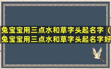 兔宝宝用三点水和草字头起名字（兔宝宝用三点水和草字头起名字好不好）