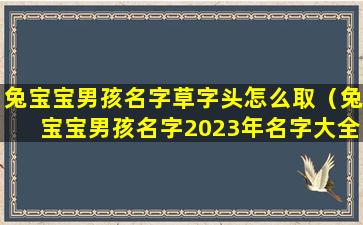 兔宝宝男孩名字草字头怎么取（兔宝宝男孩名字2023年名字大全）