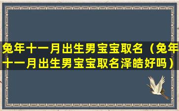 兔年十一月出生男宝宝取名（兔年十一月出生男宝宝取名泽皓好吗）