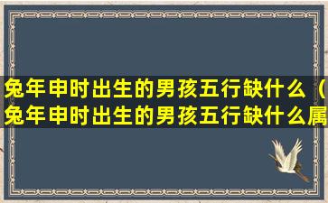 兔年申时出生的男孩五行缺什么（兔年申时出生的男孩五行缺什么属性）