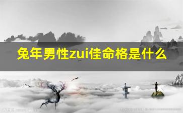 兔年男性zui佳命格是什么