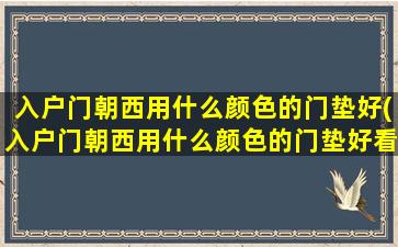 入户门朝西用什么颜色的门垫好(入户门朝西用什么颜色的门垫好看)