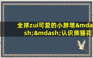 全球zui可爱的小胖墩——认识熊猫花花