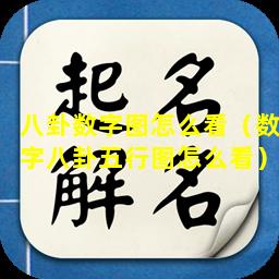 八卦数字图怎么看（数字八卦五行图怎么看）