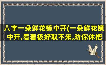 八字一朵鲜花镜中开(一朵鲜花镜中开,看着极好取不来,劝你休把镜花想)