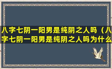 八字七阴一阳男是纯阴之人吗（八字七阴一阳男是纯阴之人吗为什么）