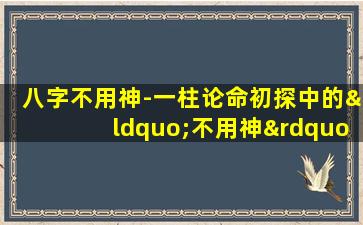 八字不用神-一柱论命初探中的“不用神”概念如何影响一柱论命的准确性