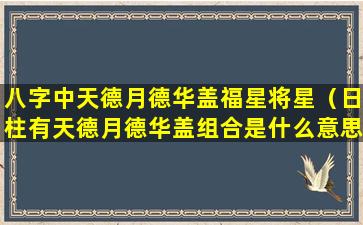 八字中天德月德华盖福星将星（日柱有天德月德华盖组合是什么意思）