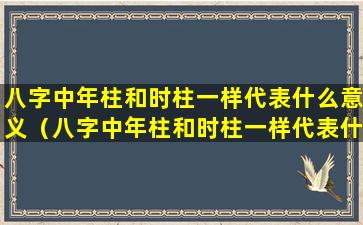 八字中年柱和时柱一样代表什么意义（八字中年柱和时柱一样代表什么意义和象征）