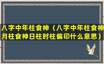 八字中年柱食神（八字中年柱食神月柱食神日柱时柱偏印什么意思）