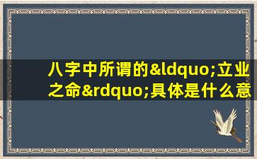 八字中所谓的“立业之命”具体是什么意思