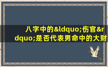 八字中的“伤官”是否代表男命中的大财