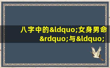 八字中的“女身男命”与“男身女命”如何影响婚姻匹配