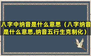 八字中纳音是什么意思（八字纳音是什么意思,纳音五行生克制化）