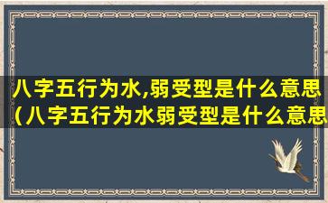 八字五行为水,弱受型是什么意思（八字五行为水弱受型是什么意思）