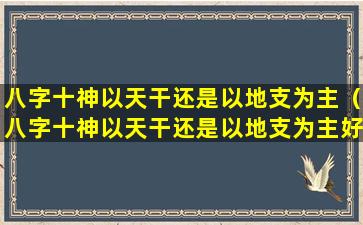 八字十神以天干还是以地支为主（八字十神以天干还是以地支为主好）