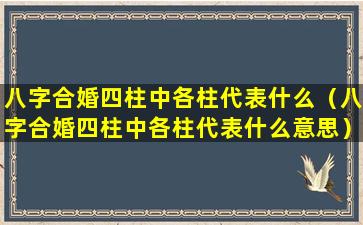 八字合婚四柱中各柱代表什么（八字合婚四柱中各柱代表什么意思）