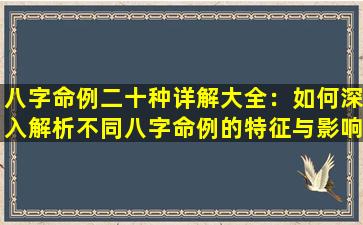 八字命例二十种详解大全：如何深入解析不同八字命例的特征与影响