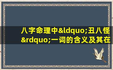 八字命理中“丑八怪”一词的含义及其在命理分析中的应用