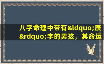 八字命理中带有“辰”字的男孩，其命运将如何展开